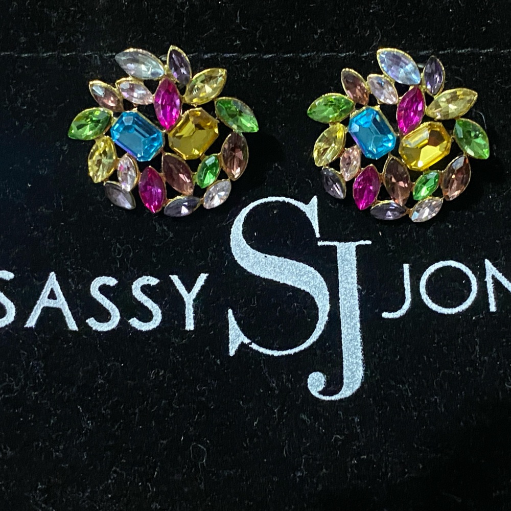 Sassy Jones Vibrant Multicolor Brooch Set